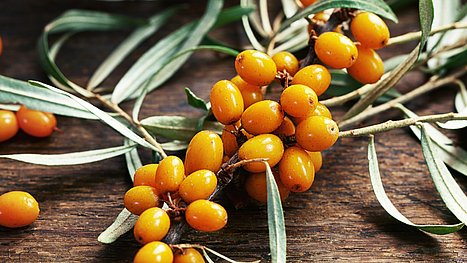 Tipp bei Erkältungen: Sanddorn gehört zu den Spitzreitern unter den Vitamin-C-haltigen Lebensmittel. Orangene Sanddornfrüchte auf einem Holztisch