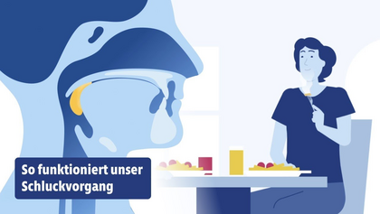 So funktioniert unser Schluckvorgang